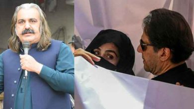 بشریٰ بی بی اور علی امین گنڈا پور تاحال مفرور ہیں، گرفتار افراد کی تفصیلات جلد سامنے آئیں گی،وزیر داخلہ