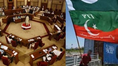 پی ٹی آئی پر پابندی لگانے کی قرارداد جمع