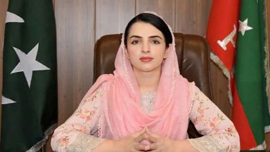 وزیراعلی کے پی کی معاون خصوصی مشال یوسفزئی عہدے سے برطرف