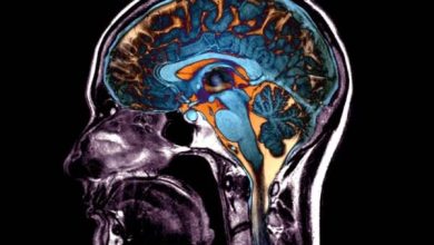 دماغ عمر کے کس حصے میں ’بوڑھا‘ ہوجاتا ہے؟