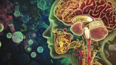 ذیابیطس کے بغیر بھی ہائی شوگر دماغ کو متاثر کرسکتی ہے، تحقیق