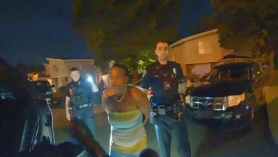 امریکا: بلی کو مار کر کھانے والی خاتون کو 1 سال قید کی سزا