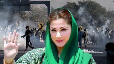 پی ٹی آئی کا مقصد ملکی ترقی روکنا ہے، مریم نواز