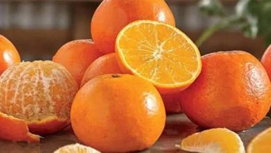 کینو کی ایکسپورٹ میں بڑی کمی کا خدشہ