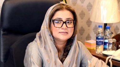 عظمیٰ بخاری کی گاڑی کو کینال روڈ پر حادثہ