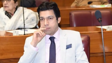 بانی پی ٹی آئی کو بشریٰ بی بی سے خطرہ ہے، فیصل واوڈانے بالآخر بڑے راز سے پردہ چاک کردیا