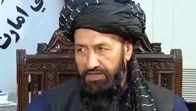 ہم نے پاکستان میں آزادانہ زندگی گزاری، ہمیں کوئی شکایت نہیں، افغان قونصل جنرل