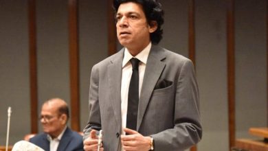 متحدہ کی طرح پی ٹی آئی پاکستان بنے گی، واوڈا