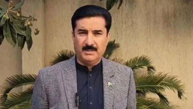 پاکستان اور افغانستان کو ایک دوسرے کی سلامتی کی گارنٹی دینی چاہیے: فیصل کریم کنڈی