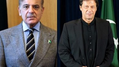 عمران خان کیخلاف ہرجانے کے دعوے پر سماعت، شہباز شریف کی ویڈیو لنک پر پیشی، جرح کے دوران بجلی بند
