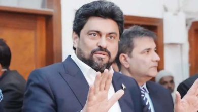 نجف: کامران ٹیسوری کی حضرت علی رضی اللہ عنہ کے مزار پر حاضری