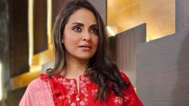 نادیہ خان کا بھارت مخالف دوٹوک مؤقف، سوشل میڈیا پر پاکستانیوں کے دل جیت لیے