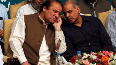 شہباز شریف اور نواز شریف کا 11 اپریل کو لندن جانے کا امکان ہے۔