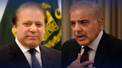 وزیر اعظم شہباز شریف نے امن اور قومی سلامتی کے لیے پاکستان کے عزم کا اعادہ کیا