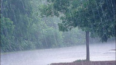 پختونخوا میں موسم خشک؛ محکمہ موسمیات نے بارشوں کی پیش گوئی کردی