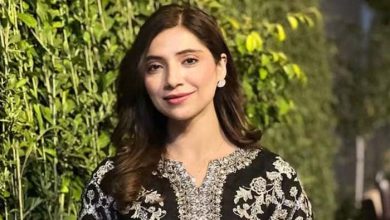 وائرل فحش ویڈیو میری نہیں: سجل ملک