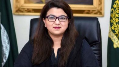 دنیا سے ہم آہنگ نہ ہوئے تو تنہا ہو جائیں گے: شزہ فاطمہ