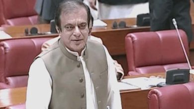 عمران خان نے کہا پاکستان میری جان سے بھی قیمتی ہے: شبلی فراز