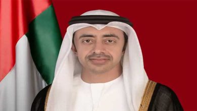 متحدہ عرب امارات کے ڈی پی ایم آج پاکستان پہنچیں گے۔