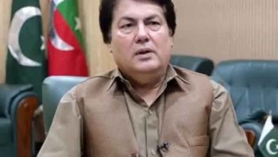 خیبر پختونخوا میں شجرکاری مہم کا آغاز: وزیراعلیٰ کی ہدایت پر درخت لگانے کا عمل شروع