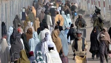 ✅ افغان باشندوں کی منظم واپسی کا عمل جاری — خیبر پختونخوا حکومت کا اہم اقدام