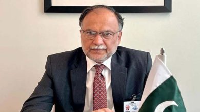 بھارت کو دن میں تارے دکھا دیے، افواج پاکستان کی صلاحیت نے دشمن کو حیران کر دیا: احسن اقبال