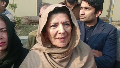 علیمہ خان کا شریف خاندان پر سنگین الزامات کا اظہار: "دشمنی نہیں، ڈر ہے"