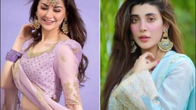 پاک بھارت کشیدگی کے سائے میں سوشل میڈیا پر نئی بحث، عروہ حسین کا پیغام وائرل