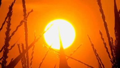 ملک بھر میں گرمی کی شدت برقرار، کچھ علاقوں میں بارش کا امکان