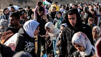 غزہ میں جنگ بندی کی امید روشن: اسرائیل نے امن منصوبے پر دستخط کر دیے، حماس غور کر رہا ہے