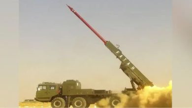 یومِ تشکر: وزیراعظم شہباز شریف کا آپریشن بنیان المرصوص کی کامیابی پر قوم کو خراجِ تحسین