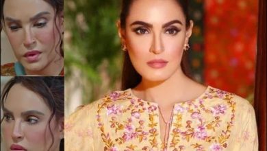 نادیہ حسین پر تنقید کی لہر: ڈرامہ کردار پر ناظرین کا شدید ردعمل، ماہرین اظہار رائے میں احتیاط پر زور دینے لگے