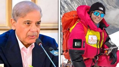 نائلہ کیانی کا تاریخی کارنامہ، وزیراعظم شہباز شریف کی جانب سے خراجِ تحسین