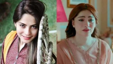 نیلم منیر کی شادی سے متعلق 2016 کی پیش گوئی سچ ثابت، دبئی منتقل ہونے پر مداح حیران