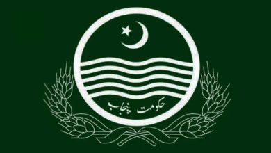 بھارتی جارحیت کے متاثرین کے لیے بڑا اقدام: وزیرِ اعظم نے 34 کروڑ 30 لاکھ روپے کے امدادی پیکج کی منظوری دے دی