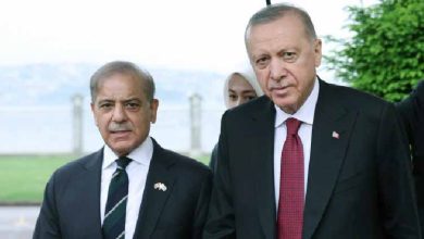 انہوں نے اس دورے کے لیے اپنی مخلصانہ تعریف کی اور دونوں اقوام کے درمیان مسلسل یکجہتی کے لیے دعا کرتے ہوئے اتحاد اور بھائی چارے کا پیغام دیا۔ اخوت اور باہمی احترام پر بنایا گیا بانڈ ایکس پر ایک باہمی پیغام میں، وزیر اعظم شہباز شریف نے ترک عوام کی گرمجوشی اور غیر متزلزل دوستی پر پاکستانی قوم کی جانب سے شکریہ ادا کرتے ہوئے صدر ایردوان کو اپنا "پیارے بھائی" کہا۔ وزیراعظم نواز شریف نے کہا کہ ہم نے اپنے دوطرفہ تعلقات بالخصوص تجارت اور سرمایہ کاری میں پیش رفت کا جائزہ لیا۔ انہوں نے تعاون کے پائیدار بندھن کو مزید مضبوط بنانے کے اپنے عزم کا اعادہ کیا جو پاکستان اور ترکی کو متحد کرتا ہے۔ سرکاری اعلامیے کے مطابق دونوں فریقین نے تمام شعبوں میں دوطرفہ تعاون کو وسعت دینے پر اتفاق کیا۔ بات چیت میں دونوں ممالک کے درمیان تاریخی، ثقافتی اور تزویراتی تعلقات پر بھی روشنی ڈالی گئی - جن کی جڑیں مشترکہ اقدار اور ضرورت کے وقت ایک دوسرے کے لیے غیر متزلزل حمایت پر مبنی ہیں۔ وزیر اعظم شریف نے پاک بھارت کشیدگی کے دوران ترکی کی حمایت کے لیے گہرے شکر کا اظہار کرتے ہوئے کہا کہ ترکی کا اصولی موقف باہمی اعتماد اور یکجہتی پر مبنی تعلقات کی مضبوطی کی عکاسی کرتا ہے۔