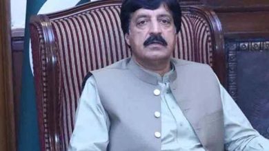 🌟 قومی ہم آہنگی کی جانب مثبت قدم: گورنر پنجاب کا سیاسی قیادت کو مشاورت جاری رکھنے کا مشورہ