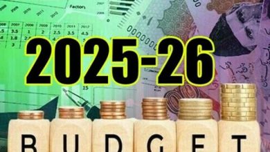 خیبر پختونخوا بجٹ منظوری پر سیاسی مشاورت جاری، 24 جون کو فنانس بل منظوری کا امکان