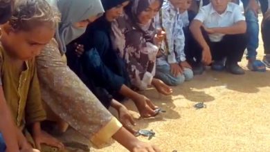 پاکستان میں ساحلی صفائی مہم: بچوں کی شمولیت سے سبز کچھووں کی بقا کی کوششیں