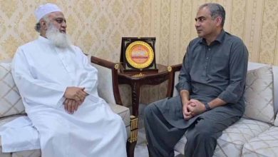 وزیر داخلہ محسن نقوی کی مولانا فضل الرحمان سے ملاقات، قومی اور علاقائی امور پر تبادلہ خیال