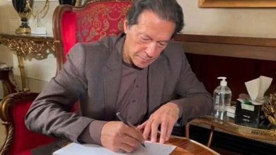 تحریک انصاف میں نئی تنظیمی پیش رفت: عمران خان کو پیٹرن اِن چیف کا اعزاز دے دیا گیا