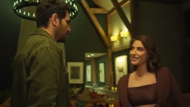 عید پر فلم ’لو گرو‘ کی شاندار کامیابی، ماہرہ اور ہمایوں کی جوڑی نے دِل جیت لیے