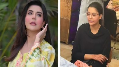 ندا یاسر سادگی میں بھی دلوں کی دھڑکن، بغیر میک اپ تصاویر پر مداحوں کا ملا جلا ردعمل