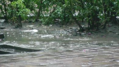 لاہور میں موسلا دھار بارش، حبس کا زور ٹوٹ گیا، موسم خوشگوار