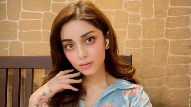 اداکارہ علیزے شاہ کا سنگین دعویٰ: "قتل کی دھمکیاں دی جا رہی ہیں، اگر کچھ ہوا تو ذمہ دار منسا ملک ہوگی"