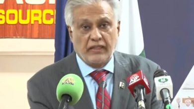 نائب وزیراعظم اسحاق ڈار: "بھارت کی بالادستی کی کوششیں ناکام، خطے میں پائیدار امن کے لیے مشترکہ کردار ناگزیر"