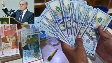 بیرون ملک مقیم پاکستانیوں کے لیے بڑی خوشخبری وزیرِ اعظم شہباز شریف کا ترسیلات زر اسکیم جاری رکھنے کا اعلان