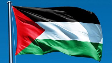 لندن کے رائل اوپرا ہاؤس میں اداکار نے اسٹیج پر فلسطین کا پرچم لہرا کر یکجہتی کا پیغام دیا، ویڈیو وائرل