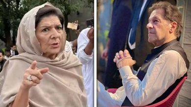 10 محرم کے بعد سیاسی تحریک کا آغاز ہوگا، علیمہ خان کا اعلان