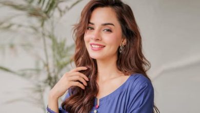 کومل میر کا نیا روپ اور کردار، ڈرامہ 'گونج' پر شائقین کی ملی جلی آراء